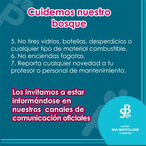 Calidad Del Aire En Bogotá Recomendaciones Importantes Colegio San