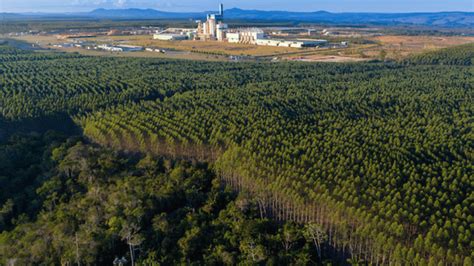 Veracel Abre Inscri Es Para O Programa Forma O De M O Obra