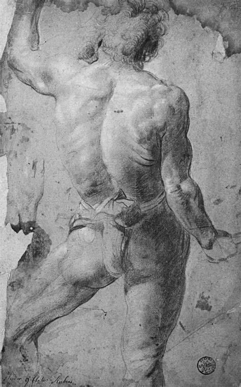 Standing Male Nude By Jacob Jordaens Buy Fine Art Print