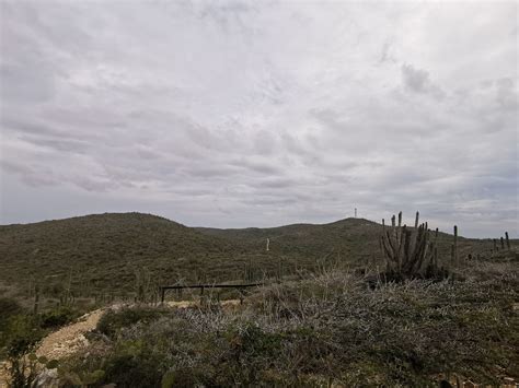 The best hikes and walks in Aruba | Outdooractive