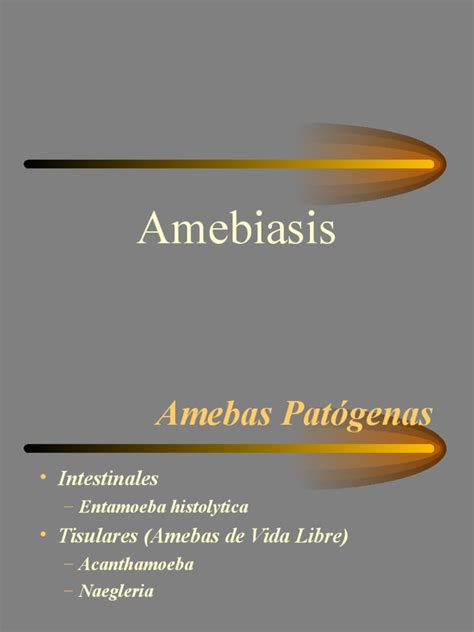 Amebiasis Tipos Y Caracteristicas Medicina Clinica Gastroenterología