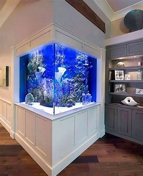 Wondrous Aquarium Design Ideas For Your Extraordinary Home