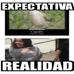 Meme Personalizado Expectativa Realidad 30051629