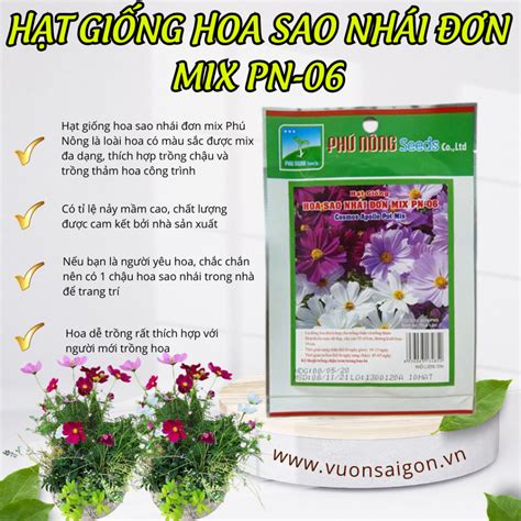 Hạt Giống Hoa Sao Nhái đơn Mix Phú Nông Vườn Sài Gòn