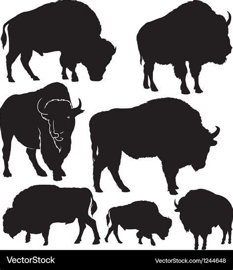 Silhouettes Buffalo Royalty Free Vector Image Vectorstock