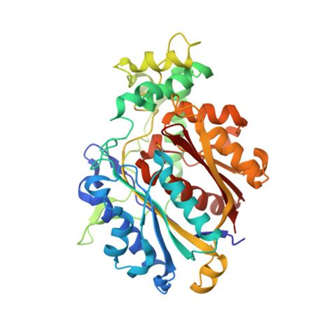 RCSB PDB 8OQL Structure Of Mycobacterium Tuberculosis Beta Oxidation