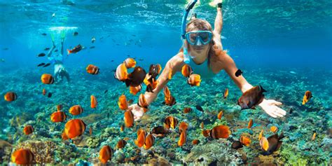 Practice Snorkeling in Kauai, Hawaii | Villas at Poipu Kai