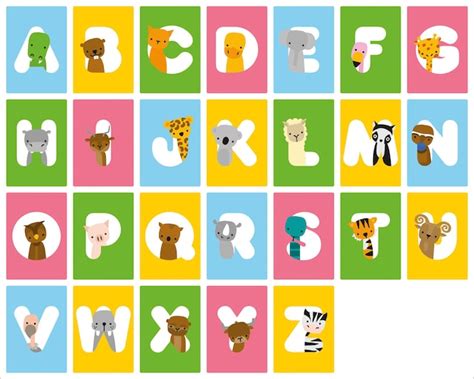 Premium Vector Animal Alphabet Vector Illustration