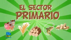 Qu Es El Sector Primario Y Agropecuario Sector Primario Y