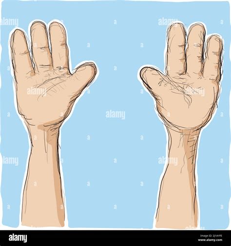 Hands Raised Up Vector Drawing Stock Vector Image Art Alamy