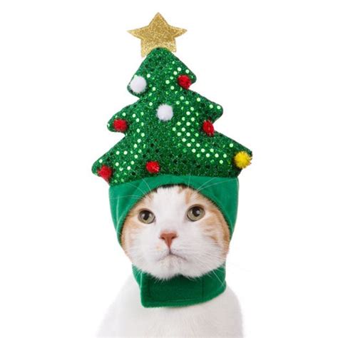 10 christmas pet costumes that will spread holiday cheer – Artofit