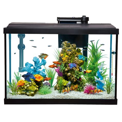 10 Gallon Fish Tank Stand Petsmart | Bruin Blog