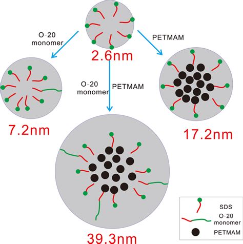 Structure Of The Micelle In Different Polymerization System Download