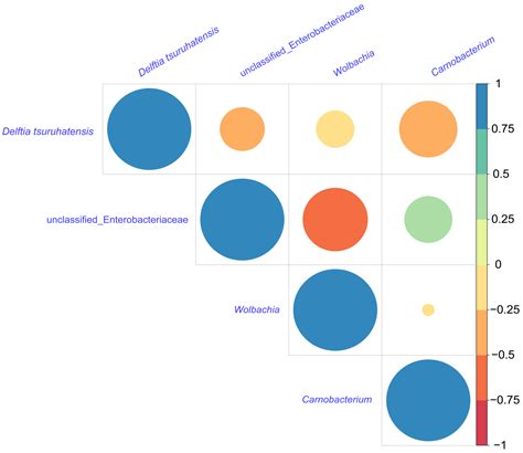 Developmental Shifts in the Microbiome of a Cosmopolitan Pest