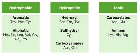 Post-translational Protein Processing | Concise Medical Knowledge 