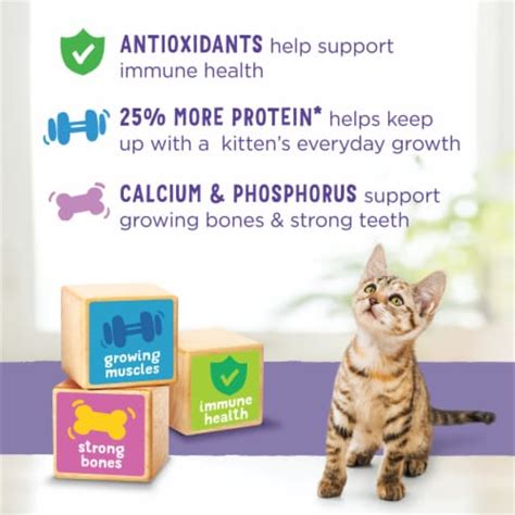 Purina® Kitten Chow® Nurture Dry Kitten Food, 3.15 lb - Food 4 Less