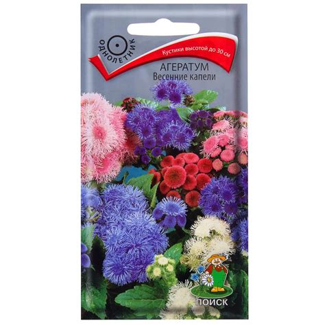 Агератум — купить | Global Flowers