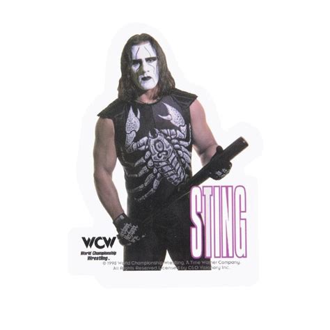 WCW - Sting Photo Decal | Sting wcw, Wcw wrestlers, Wrestling superstars