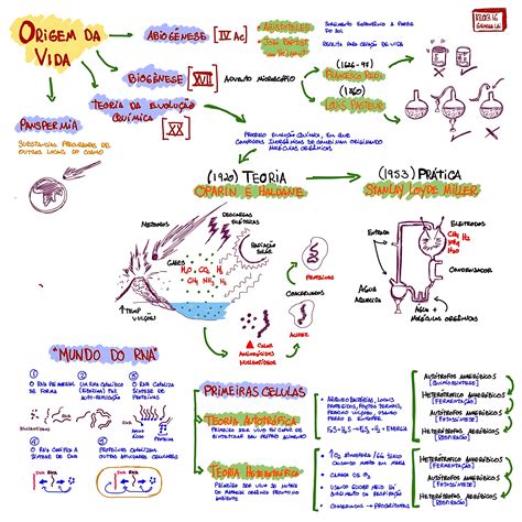 Origem Da Vida - Origem da Vida: Explicada e Resumida para o ENEM