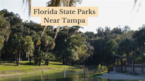 17 Top Florida State Parks Near Tampa - Ultimate Outdoor Guide