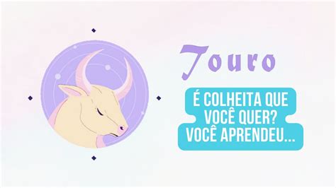 ♉️touro♉️É Colheita Que VocÊ Quer VocÊ AprendeuterÇa Feira Signos