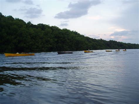 Venezuela Estado De Zula Laguna De Sinamaica Luis Edua Luis