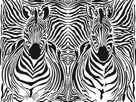 Zebrapad Fotobehang