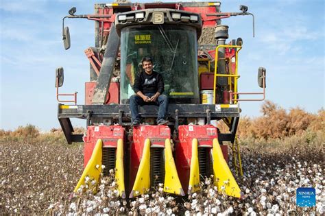 Mechanical Cotton Picking Brings More Efficiency Income For Cotton