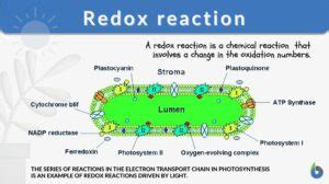 Redox reaction - Definition and Examples - Biology Online Dictionary