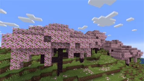 Sakura Biome in Minecraft 1.20 Updates – Roonby