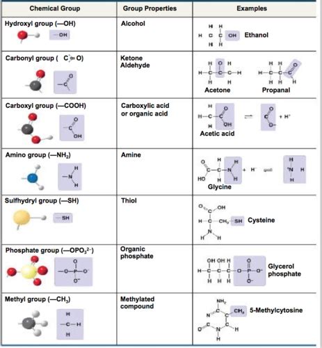 Chapter 2 The Chemical Context Of Life 2 Flashcards Quizlet