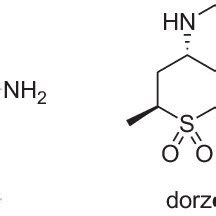 Examples of clinically used carbonic anhydrase inhibitors. | Download ...