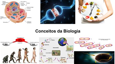 Biologia Prova - Diagrama para Biologia | Quizlet