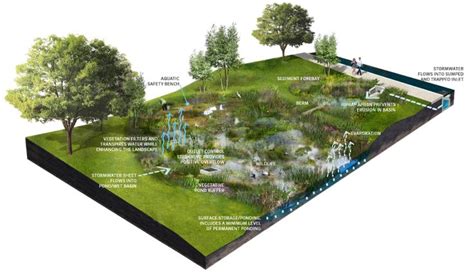 Stormwater, Pond design, Landscape