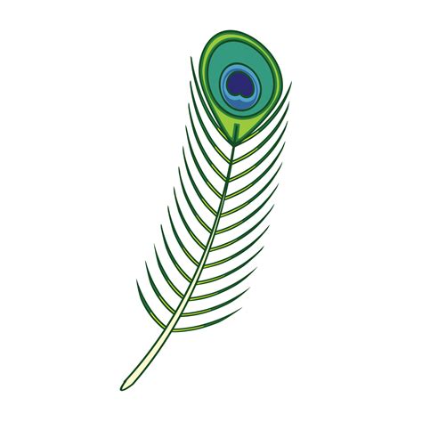 Peacock Feather Illustration 14534596 Vector Art At Vecteezy