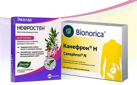 От цистита от эвалар: Нефростен Эвалар – лечите цистит правильно!
