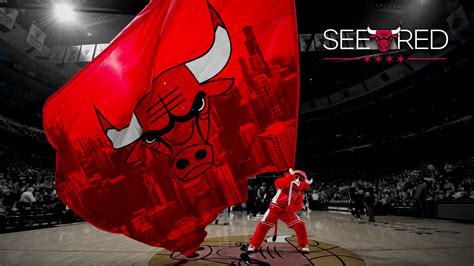 hd chicago bulls backgrounds pixelstalknet