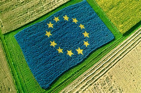 Biologico Ecco Il Nuovo Regolamento Dalla Ue Suolo E Salute