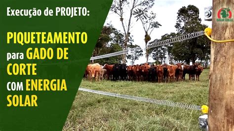 Cerca El Trica Divis O De Pastagem Energia Solar Para Gado