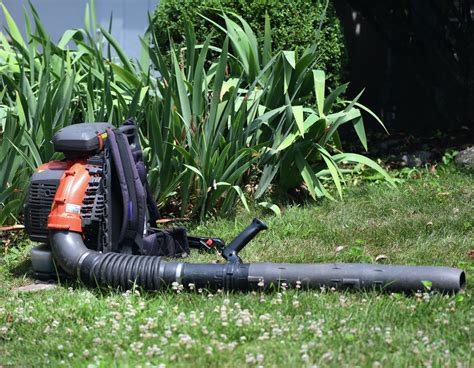 Data 300 Complaints On Greenwich Leaf Blower Ban Violations May Aug