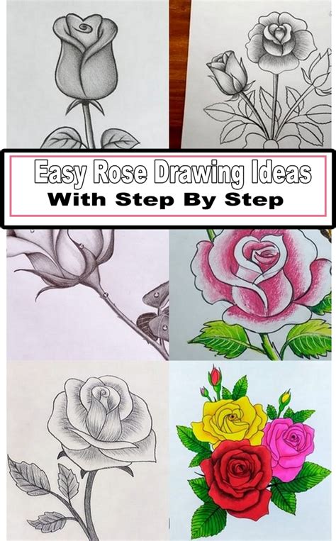 Rose Drawing Ideas