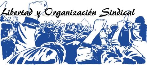 Ejemplos De Libertad De Organizacion