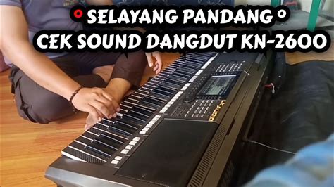 Cek Sound Selayang Pandang Dangdut Organ Tunggal Hd Audio YouTube