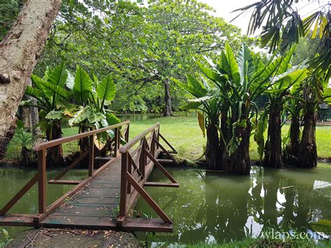 Que voir faire et visiter à l île Maurice Wlaps