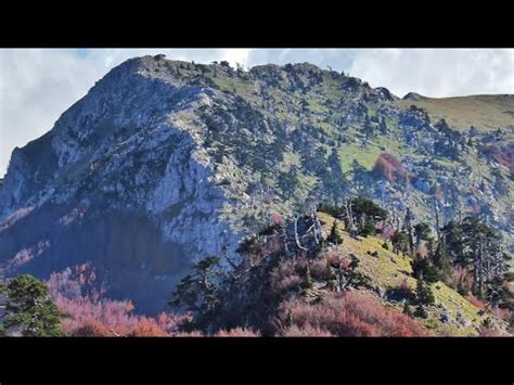 Parco Del Pollino Autunno Sulla Serra Di Crispo Dal Rifugio Pino