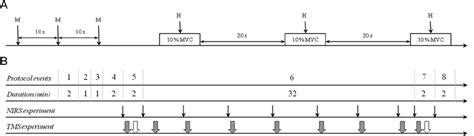 ( A ) Neuromuscular tests (NMT). M and H represent the neural ... 