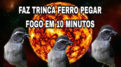 Seu Trinca Ferro Vai Pegar Fogo Em Esse Video Youtube