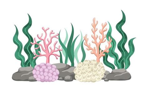 Coral Reef Cartoon Vector Art, Icons, and Graphics for Free Download