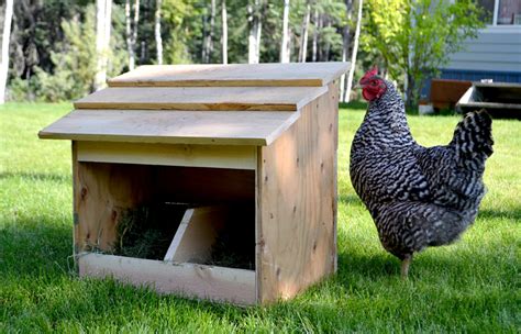 Building A Diy Chicken Nesting Boxes 21 Plans And Ideas The Poultry Guide