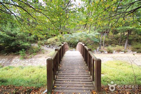 국립 희리산해송자연휴양림 관광 정보와 주변 관광 명소 및 근처 맛집 여행 정보